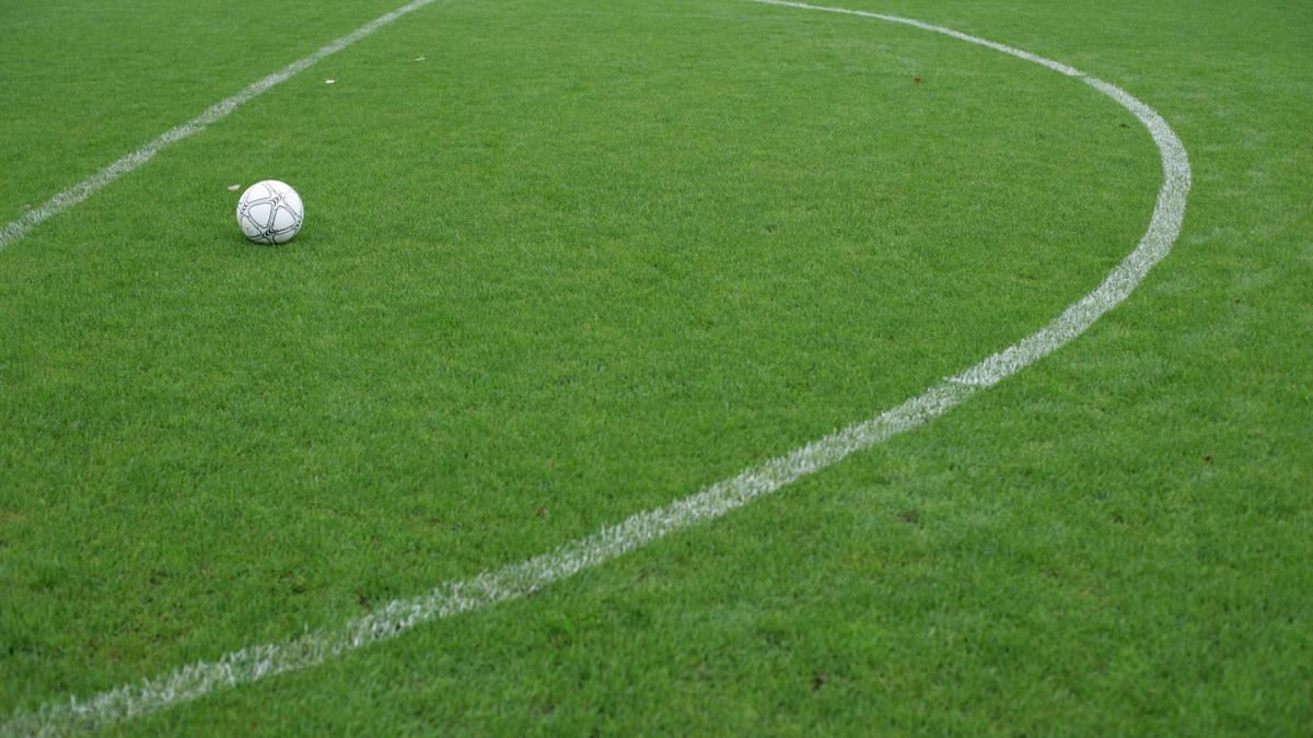 Soccer ball resting on the grass of a football pitch